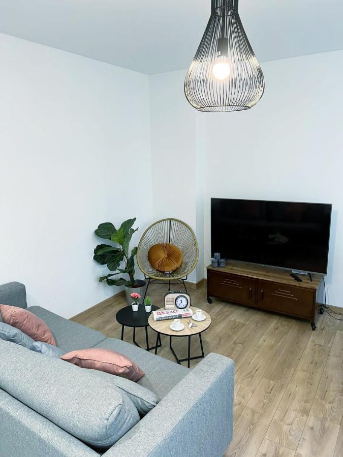 Le Convivial, Appartement Centre Ville Mulhouse Esterno foto